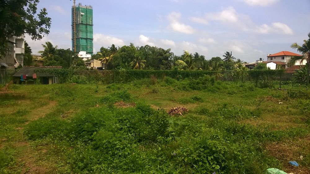 Land Image 5